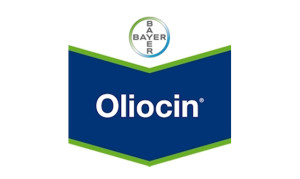 Oliocin Bayer